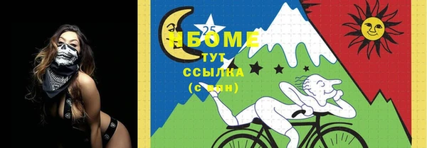 хмурый Липки
