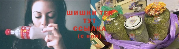 хмурый Липки
