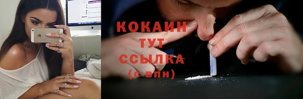 spice Лиски