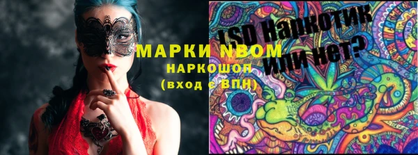 хмурый Липки