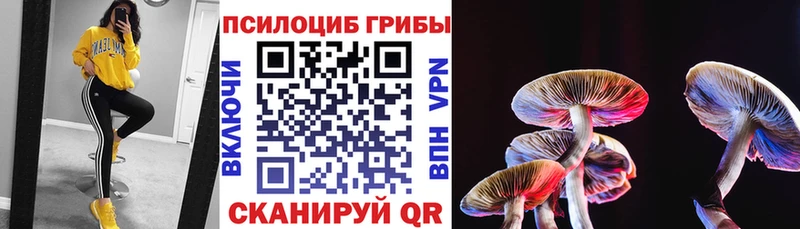 Псилоцибиновые грибы GOLDEN TEACHER  Купить закладки  Старая Русса 